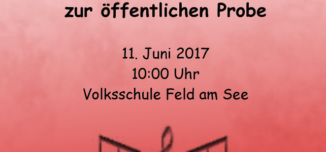 ÖffentlicheProbevorne